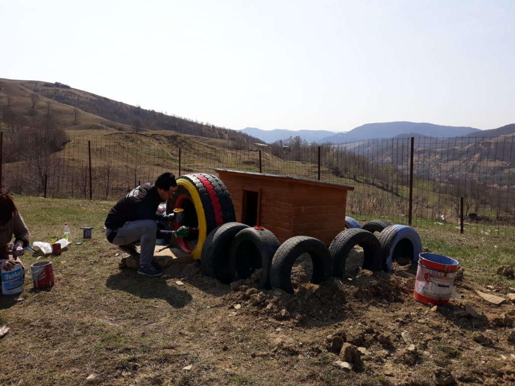 Open shelter в камере что это